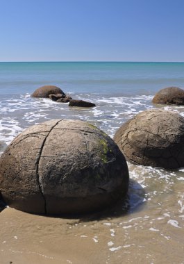 Moeraki Boulders doğal rezerv Yeni Zelanda