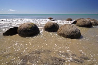 Moeraki Boulders doğal rezerv Yeni Zelanda