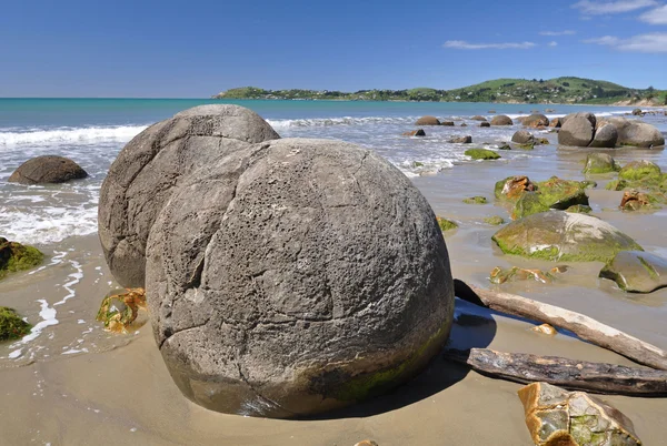 Moeraki Boulders doğal rezerv Yeni Zelanda