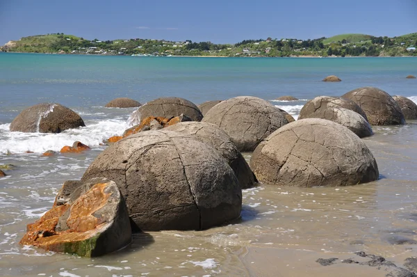 Moeraki Boulders doğal rezerv Yeni Zelanda