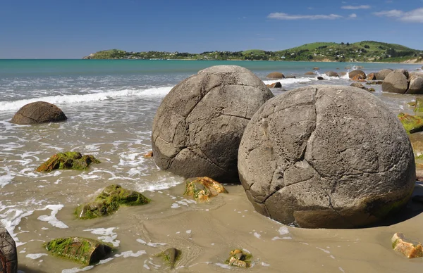 Moeraki Boulders doğal rezerv Yeni Zelanda