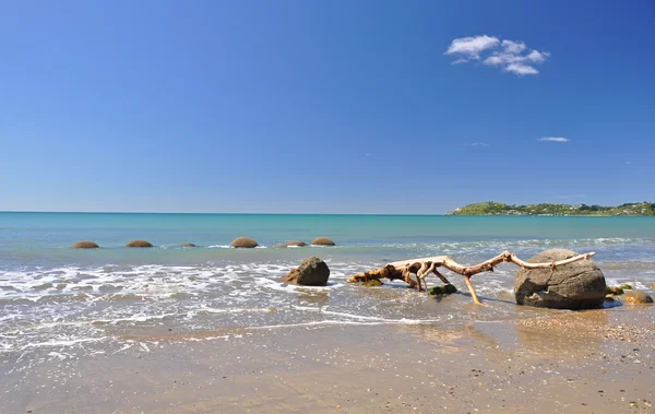 Moeraki Boulders doğal rezerv Yeni Zelanda