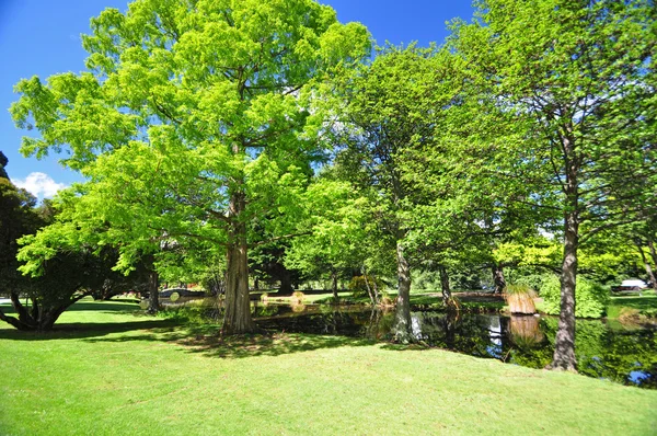 Queenstone Gardens New Zealand — стоковое фото