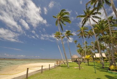 Paradise Found