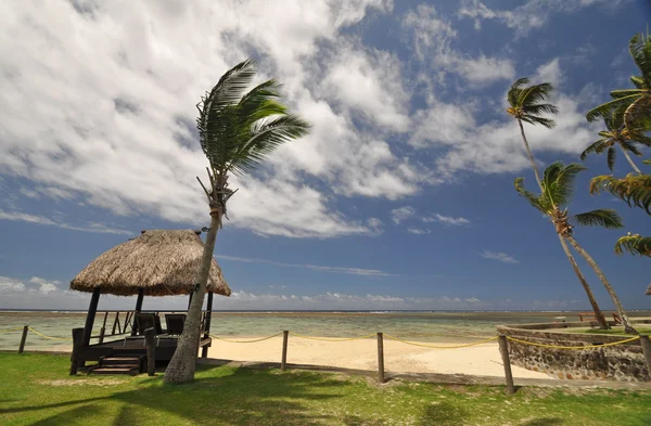 Coral Coast strand hut — Stockfoto
