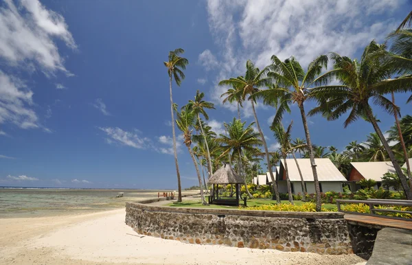 Mercan Kıyısı Fiji