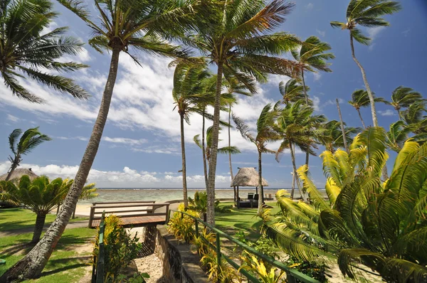 Paradise Found