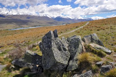 Yol Gölü Tepako ve göl Kütüphanesi Yeni Zelanda