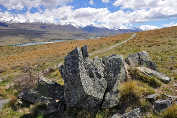 Sentiero per il lago Tepako e il lago Alexandrina Nuova Zelanda — Foto Stock