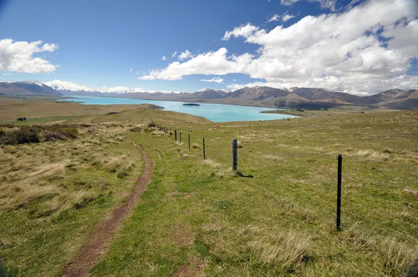 Isola di Motuariki sul lago Tepako Nuova Zelanda — Foto Stock