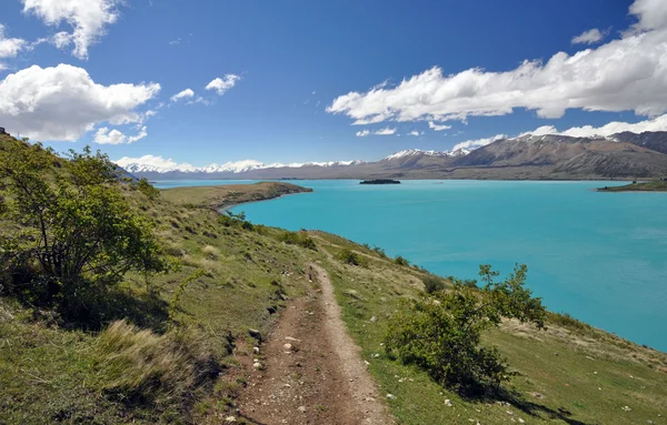 Pista de la costa oeste en el lago Tepako Nueva Zelanda — Foto de Stock