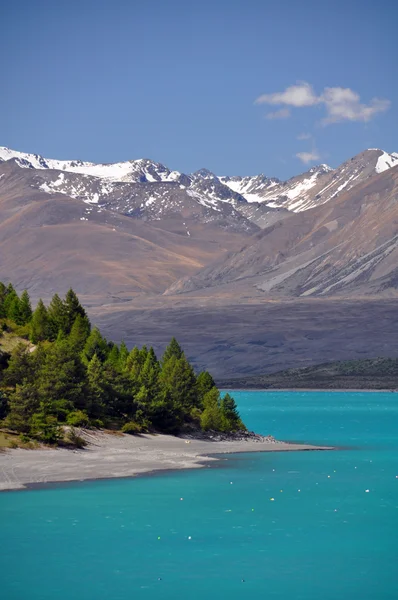 Lago Tepako litorale — Foto Stock