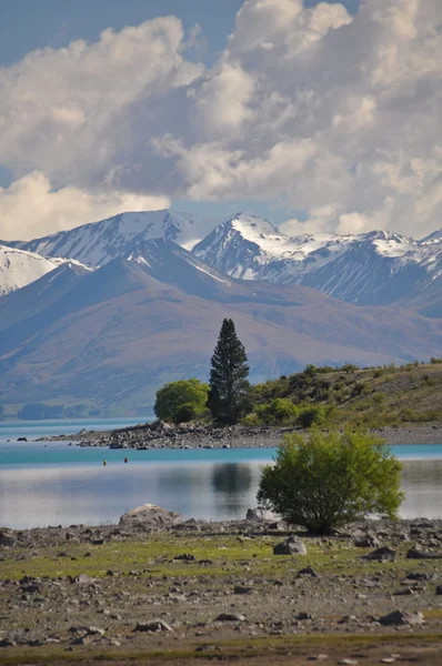 Head of Lake Tepako New Zealand — Stock Photo, Image