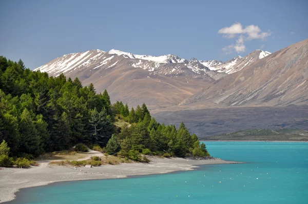 Lago Tepako litorale — Foto Stock