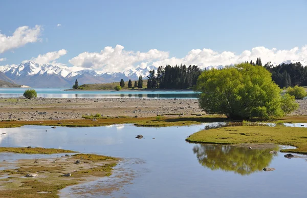 Cabeza del lago Tepako Nueva Zelanda — Foto de Stock