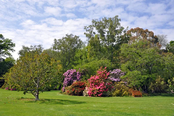 Christchurch Botanical Gardens New Zealand — Stock Photo, Image