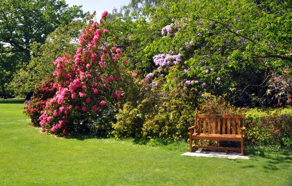 Nový Zéland Christchurch botanické zahrady — Stock fotografie