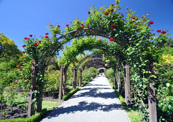 Christchurch Rose Garden Nueva Zelanda Fotos de stock