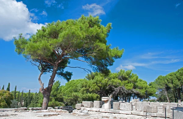 Athena Tapınağı, Ialssos