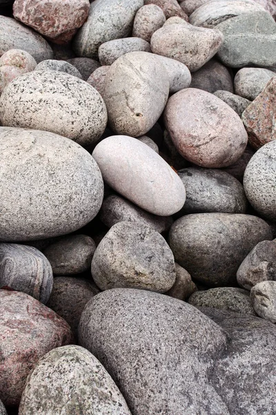 北海岸の丸みを帯びた灰色の岩 茶色の藻類を持つ灰色の丸い石の背景 ロシア北部のテクスチャ化鉱物 — ストック写真