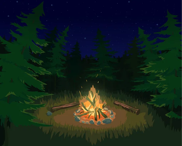 Landscape with bonfire — Stock Vector