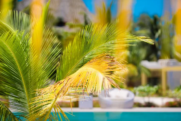 Mooie luxe paraplu strand en stoel rond zwemmen in hotel resort — Stockfoto