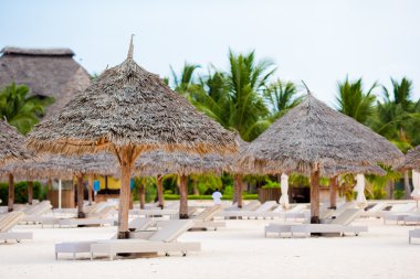 Plaj sandalyeleri tropikal beyaz kumsalda