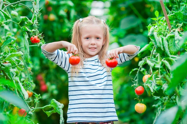 Adorável menina coletando pepinos e tomates em estufa — Fotografia de Stock