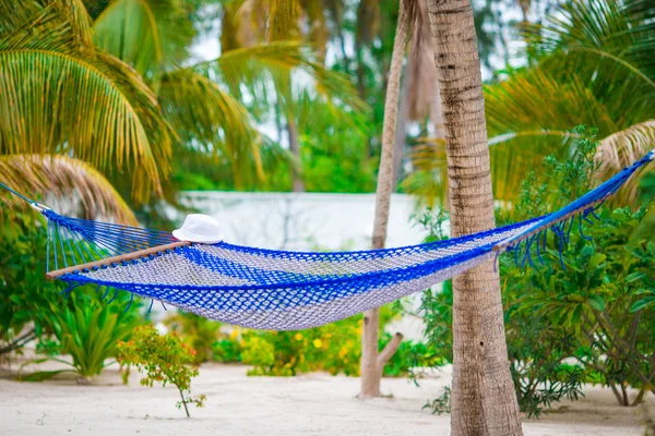 Leere Hängematte zwischen Palmen am tropischen Strand — Stockfoto