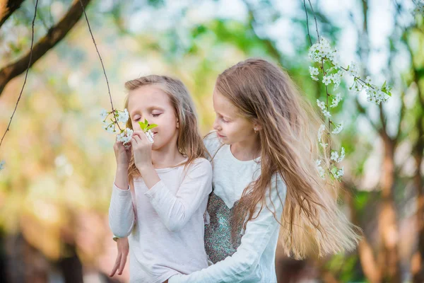 Adorable little girls in blooming cherry tree garden on spring day — Stock Photo, Image