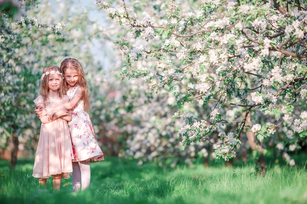 Adorables niñas en el jardín de cerezo en flor en el día de primavera —  Fotos de Stock