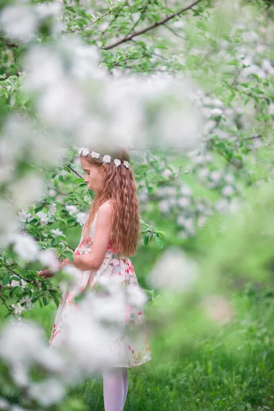 Маленькая милая девочка в цветущем вишневом саду на открытом воздухе — стоковое фото