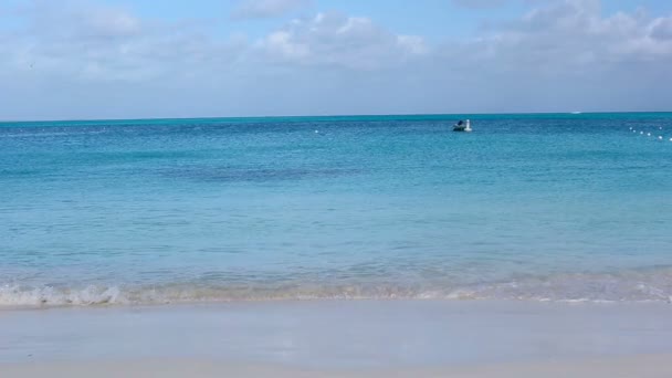 Glückliche Familie am weißen Strand mit Spaß — Stockvideo