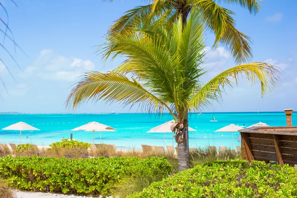 Chaises de plage sur plage exotique de sable blanc tropical — Photo