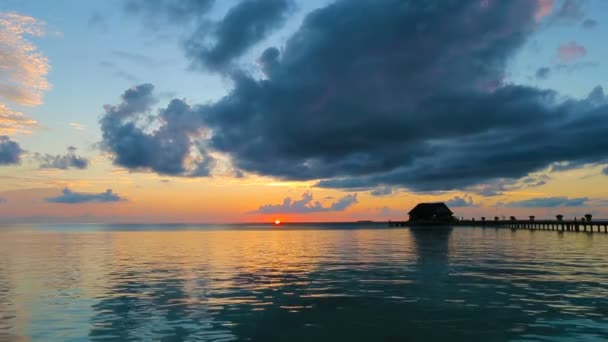 야자수와 인도양의 열 대 섬에 일몰에 놀라운 흐린 하늘의 어두운 실루엣 — 비디오