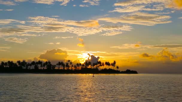 Siluetas oscuras de palmeras y asombroso cielo nublado al atardecer en la isla tropical en el Océano Índico — Vídeos de Stock