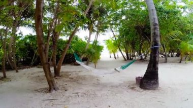 Tropik sahilde palmiye ağaçları arasında boş hamak.