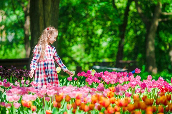 Liten bedårande flicka i blommande tulpaner trädgård — Stockfoto