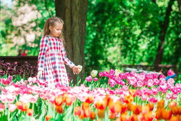 Pequena menina adorável no jardim tulipas florescendo. Exposição de diferentes variedades de tulipas no parque ao ar livre — Fotografia de Stock