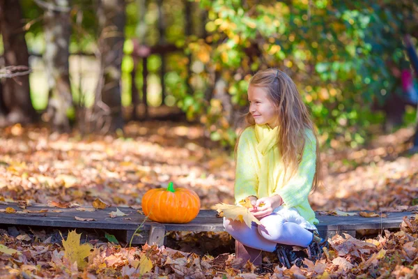 Αξιολάτρευτο κοριτσάκι με μια κολοκύθα για Απόκριες σε εξωτερικούς χώρους σε όμορφη μέρα του φθινοπώρου — Φωτογραφία Αρχείου