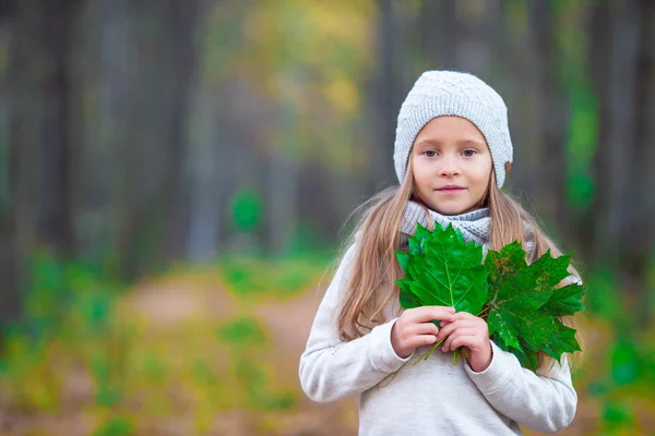 Adorable niña con hojas de otoño en el hermoso parque — Foto de Stock