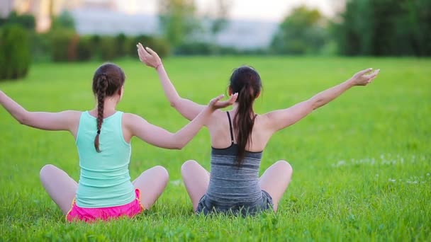 Junge aktive Fitness-Frauen machen Übungen im Freien. Zwei sportliche Mädchen treiben Sport im Park — Stockvideo
