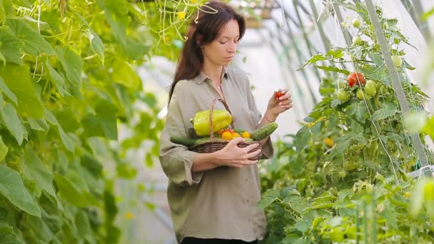 Mujer joven con canasta de verdura y verduras en el invernadero. Hora de cosechar . — Vídeo de stock
