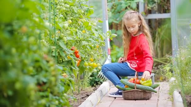 Schattig klein meisje dat komkommers en tomaten verzamelt in de kas. Portret van een kind met rode tomaat in handen. — Stockvideo