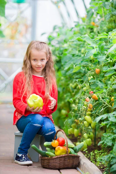 Little girl collecting crop cucumbers and tomatos in greenhouse. Portrait of kid with big sweet green peper in hands. Time to harvest. — Stock Photo, Image