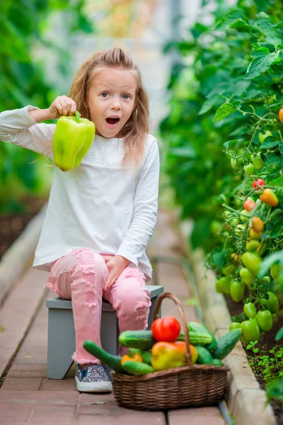 Little girl collecting crop cucumbers and tomatos in greenhouse. Portrait of kid with big sweet green peper in hands. Time to harvest. — Stock Photo, Image