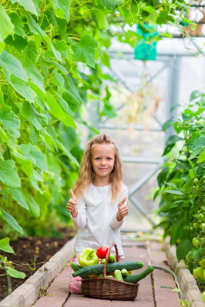 Malá holčička, sběr plodin okurky a rajčat ve skleníku. Čas sklizně. — Stock fotografie