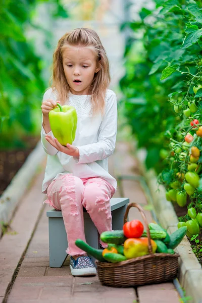 Niña coleccionando pepinos y tomates en invernadero. Retrato de niño con gran peper verde dulce en las manos. Hora de cosechar . —  Fotos de Stock