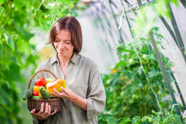 Mladá žena s koš plný zeleniny ve skleníku. Čas sklizně. — Stock fotografie
