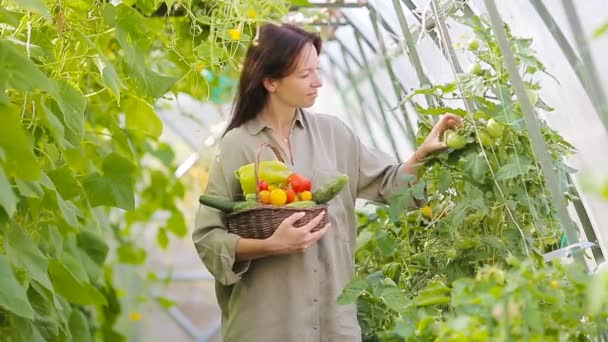 Молода жінка з кошиком зелені та овочів у теплиці. Час збирати . — стокове відео